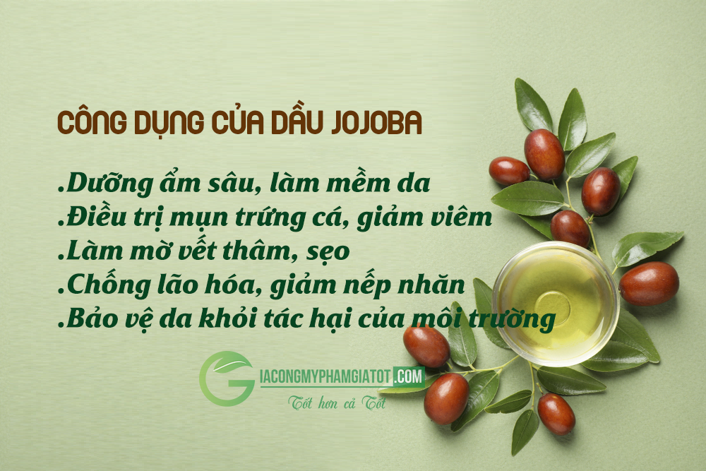 Tính chất nhẹ nhàng: Dầu Jojoba rất nhẹ, không gây nhờn rít, thẩm thấu nhanh vào da, không gây bí tắc lỗ chân lông.