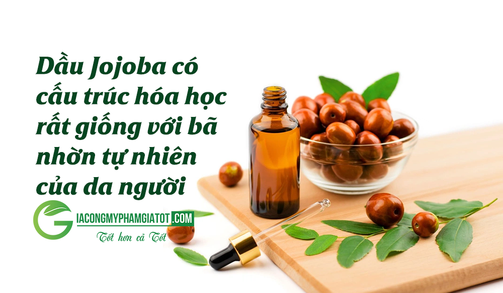 Cấu trúc hóa học đặc biệt: Dầu Jojoba có cấu trúc hóa học rất giống với bã nhờn tự nhiên của da người, nên nó có khả năng cân bằng độ ẩm, điều tiết lượng dầu trên da một cách hiệu quả.