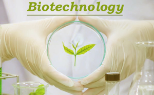 Công nghệ sinh học đang chuyển đổi các thành phần mỹ phẩm và tính bền vững như thế nào