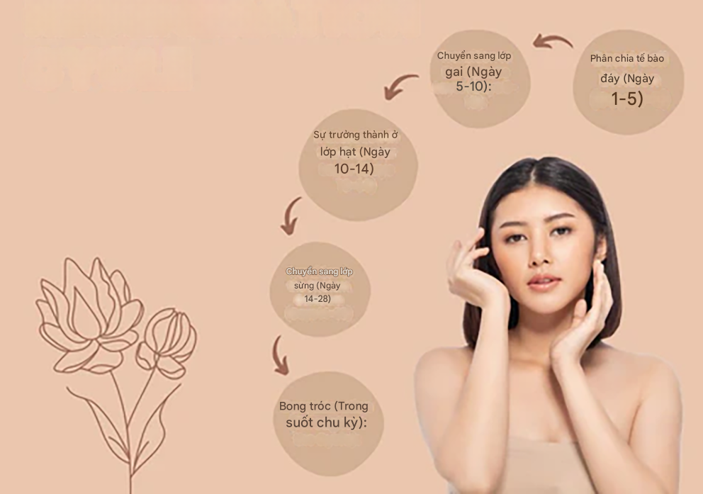 Tái tạo da là gì và nó hoạt động như thế nào?